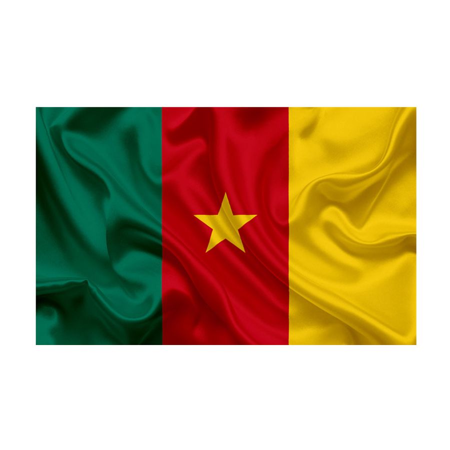 Bandiera Camerun 100x140cm